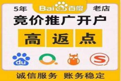 成功案例：SEM开户助力中小企业崛起